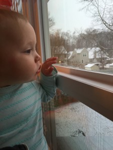 Addy watching snow