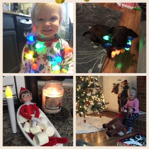 addy christmas lights collage